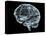 Human Brain, Artwork-Laguna Design-Premier Image Canvas