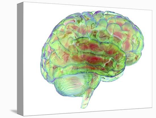 Human Brain,computer Artwork-PASIEKA-Premier Image Canvas