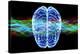 Human Brain, Conceptual Artwork-PASIEKA-Premier Image Canvas