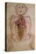 Human Circulation System from Mansur's Anatomy by 15th C. Persian Mansur Ibn Ilyas-null-Stretched Canvas