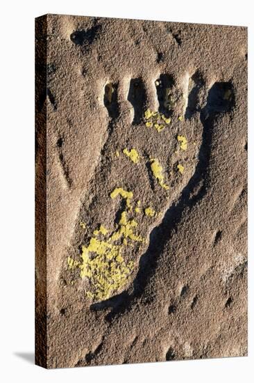 Human Footprint-null-Premier Image Canvas