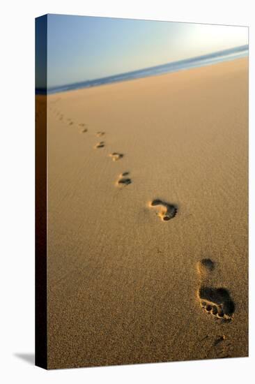 Human footprints in the sand, Sandymouth bay, Cornwall, UK-Ross Hoddinott-Premier Image Canvas
