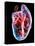 Human Heart, Artwork-Roger Harris-Premier Image Canvas