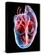 Human Heart, Artwork-Roger Harris-Premier Image Canvas