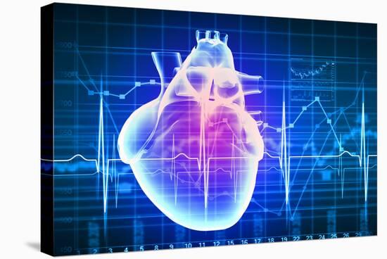 Human Heart with Cardiogram-Sergey Nivens-Stretched Canvas