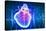 Human Heart with Cardiogram-Sergey Nivens-Stretched Canvas