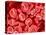 Human Red blood cells-Micro Discovery-Premier Image Canvas