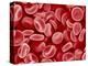 Human Red blood cells-Micro Discovery-Premier Image Canvas