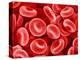 Human Red blood cells-Micro Discovery-Premier Image Canvas