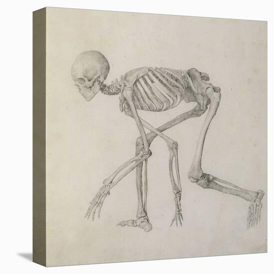 Human Skeleton: Lateral View in Crouching Posture-George Stubbs-Premier Image Canvas