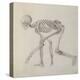 Human Skeleton: Lateral View in Crouching Posture-George Stubbs-Premier Image Canvas