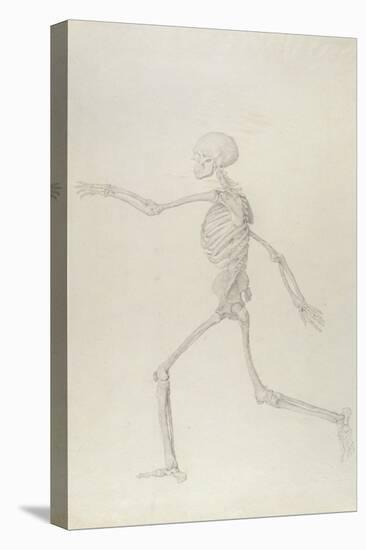 Human Skeleton, Lateral View Seen from the Left, Running, Illustration from 'A Comparative…-George Stubbs-Premier Image Canvas