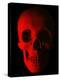 Human Skull-Roger Harris-Premier Image Canvas