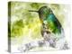 Humming Bird-Chamira Young-Stretched Canvas
