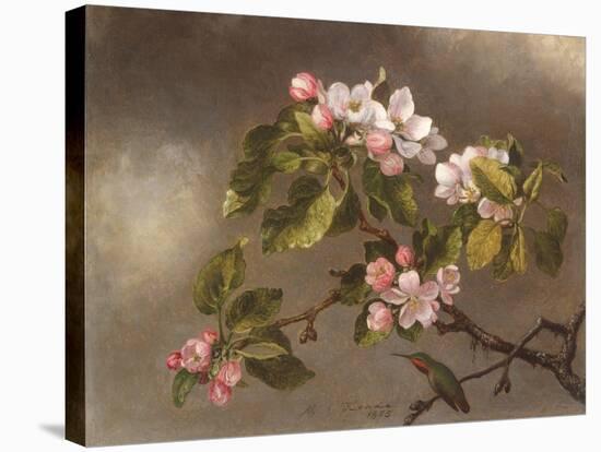 Hummingbird and Apple Blossoms-Martin Johnson Heade-Stretched Canvas