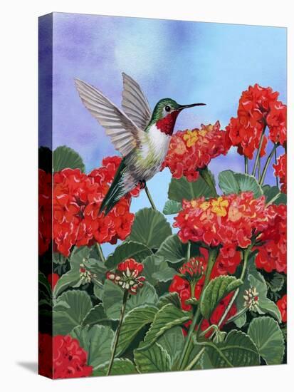 Hummingbird and Flower 2-William Vanderdasson-Premier Image Canvas