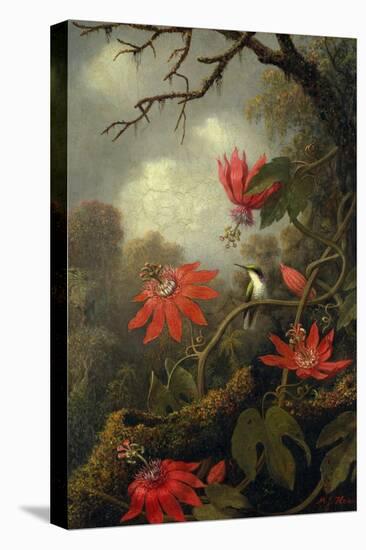 Hummingbird and Passionflowers, c.1875–85-Martin Johnson Heade-Premier Image Canvas