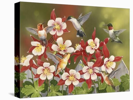 Hummingbird Feeding Frenzy-William Vanderdasson-Premier Image Canvas