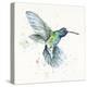 Hummingbird Flurry-Sillier than Sally-Stretched Canvas