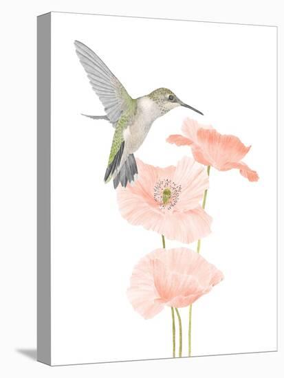 Hummingbird Garden-Stacy Hsu-Stretched Canvas