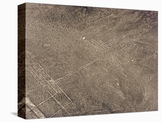 Hummingbird, Lines and Geoglyphs of Nasca, UNESCO World Heritage Site, Peru, South America-Christian Kober-Premier Image Canvas
