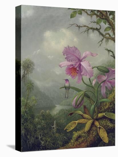 Hummingbird Perched on an Orchid Plant, 1901-Martin Johnson Heade-Premier Image Canvas