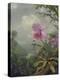 Hummingbird Perched on an Orchid Plant, 1901-Martin Johnson Heade-Premier Image Canvas