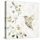 Hummingbird Song II-Carol Robinson-Stretched Canvas