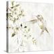 Hummingbird Song IV-Carol Robinson-Stretched Canvas