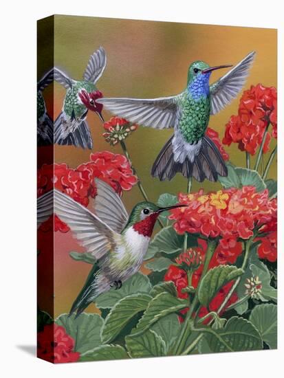 Hummingbirds and Flowers-William Vanderdasson-Premier Image Canvas