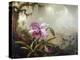 Hummingbirds and Orchids-Martin Johnson Heade-Premier Image Canvas