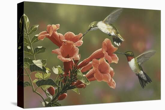 Hummingbirds and Trumpet Flowers-William Vanderdasson-Premier Image Canvas