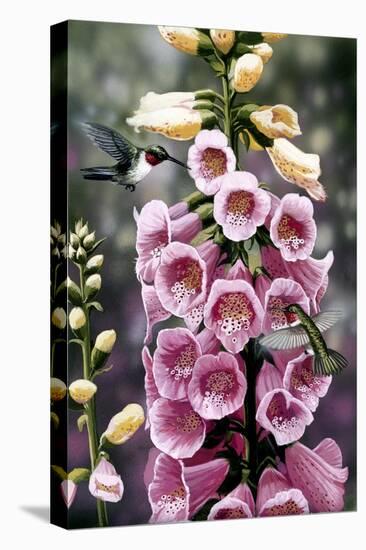 Hummingbirds - Foxgloves-William Vanderdasson-Premier Image Canvas