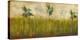 Hummingbirds in Tall Grass II-Anne Hempel-Stretched Canvas