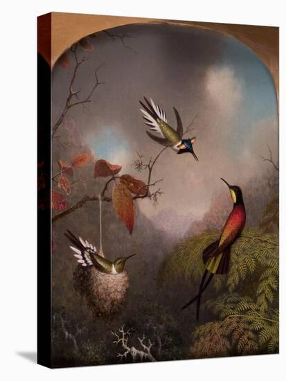 Hummingbirds: Two 'Sungems' and a 'Crimson Topaz', 1866-Martin Johnson Heade-Premier Image Canvas