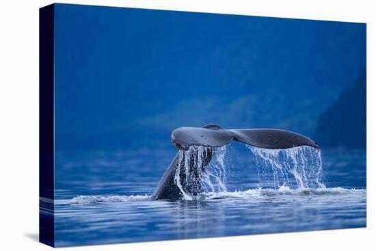 Humpback Whale, Alaska-null-Premier Image Canvas