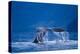 Humpback Whale, Alaska-null-Premier Image Canvas