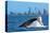 Humpback Whale at Gold Coast-null-Stretched Canvas