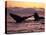 Humpback Whale at Sunset, Inside Passage, Alaska, USA-Stuart Westmoreland-Premier Image Canvas