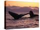 Humpback Whale at Sunset, Inside Passage, Alaska, USA-Stuart Westmoreland-Premier Image Canvas