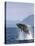 Humpback Whale Breaching, Inside Passage, Alaska, USA-Stuart Westmoreland-Premier Image Canvas