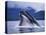 Humpback Whale Feeding in Frederick Sound in Alaska-Paul Souders-Premier Image Canvas