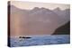 Humpback Whale Surfacing in Aialik Bay-null-Premier Image Canvas