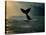 Humpback Whale Tail at Sunset-Stuart Westmorland-Premier Image Canvas