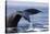 Humpback Whale Tail-Michele Westmorland-Premier Image Canvas