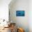 Humpback Whale-Reinhard Dirscherl-Premier Image Canvas displayed on a wall