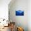 Humpback Whale-DLILLC-Premier Image Canvas displayed on a wall