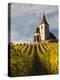 Hunawihr, Alsatian Wine Route, Alsace Region, Haut-Rhin, France-Walter Bibikow-Premier Image Canvas