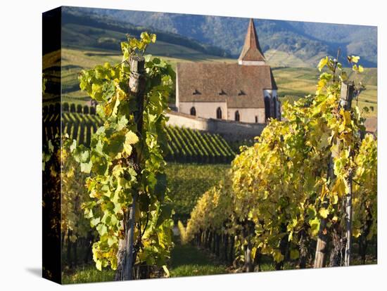 Hunawihr, Alsatian Wine Route, Alsace Region, Haut-Rhin, France-Walter Bibikow-Premier Image Canvas