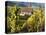 Hunawihr, Alsatian Wine Route, Alsace Region, Haut-Rhin, France-Walter Bibikow-Premier Image Canvas